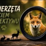 Sukces naszych uczniów w Konkursie Fotograficznym „Zwierzęta Okiem Obiektywu”